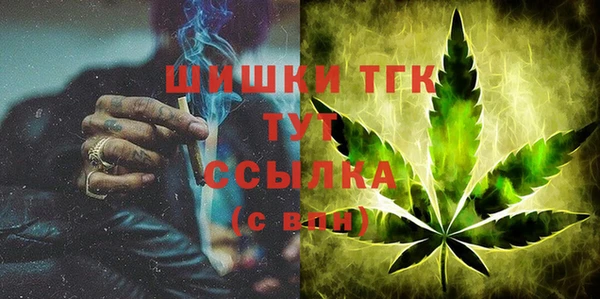мдпв Горняк