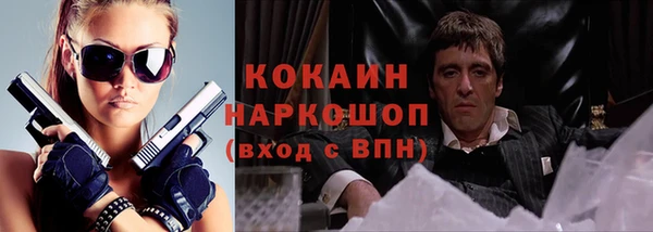 мдпв Горняк