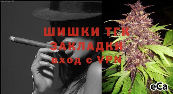 мдпв Горняк