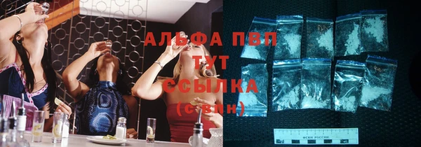 spice Горнозаводск