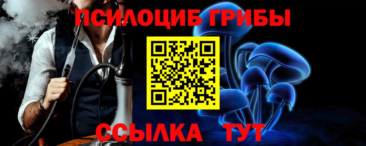 наркошоп  Псилоцибиновые грибы прущие грибы  Воткинск  Псилоцибиновые грибы Psilocybine cubensis 