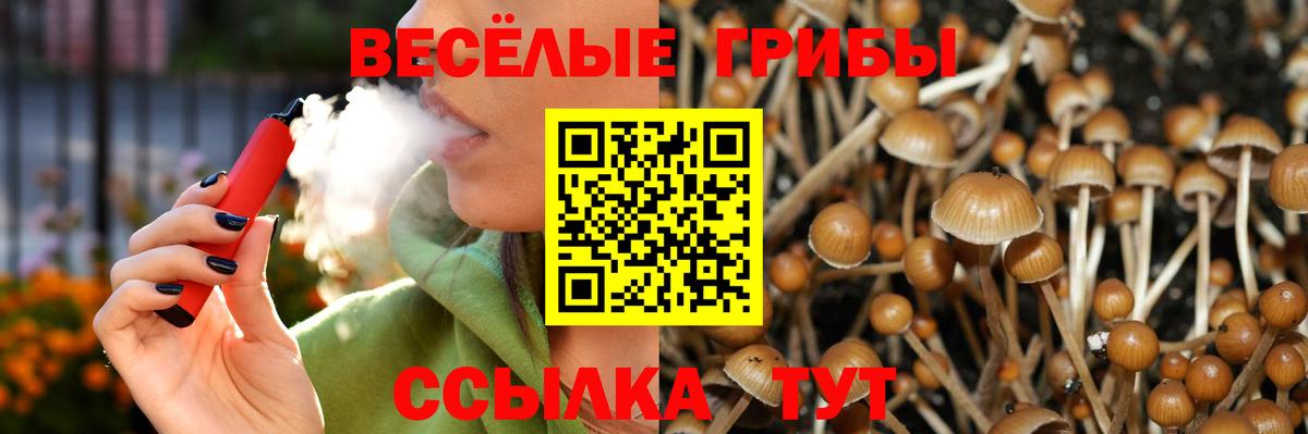 Галлюциногенные грибы мицелий Воткинск