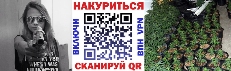 купить  сайты  Воткинск  Каннабис гибрид 